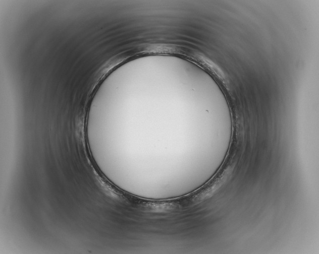 X0000112211041200908281455