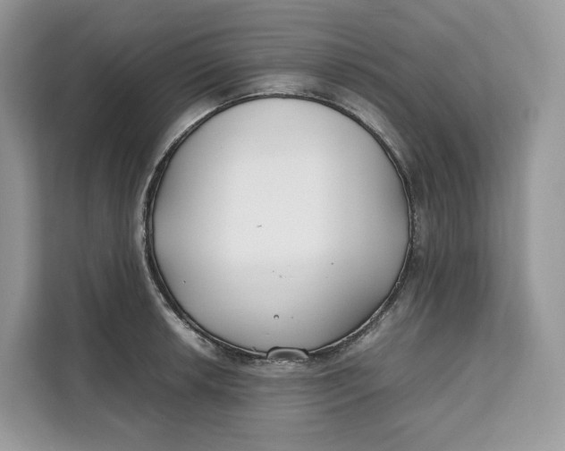 X0000112211042200908281455
