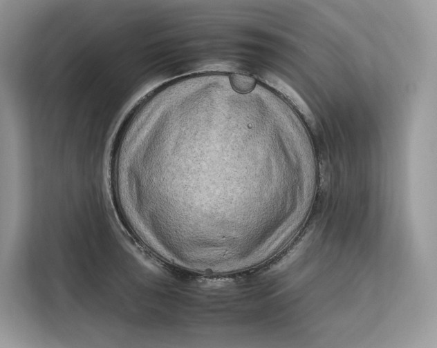 X0000112211043200908281455