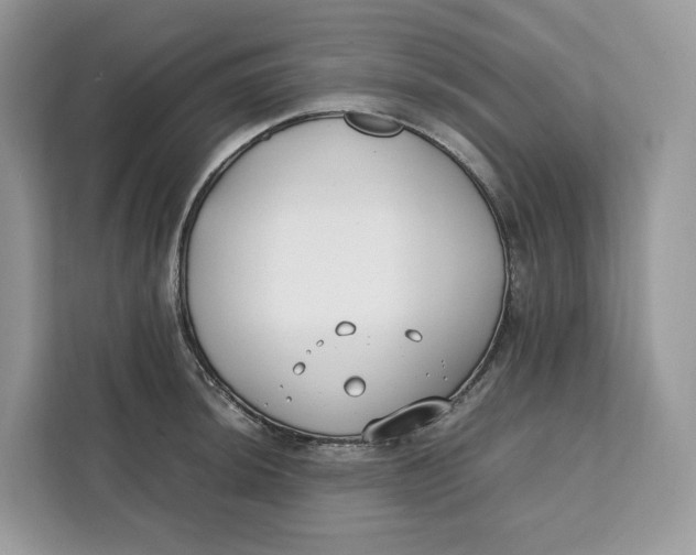 X0000112211044200908281456