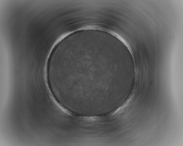 X0000112211045200908281456