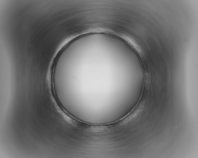 X0000112211046200908281456