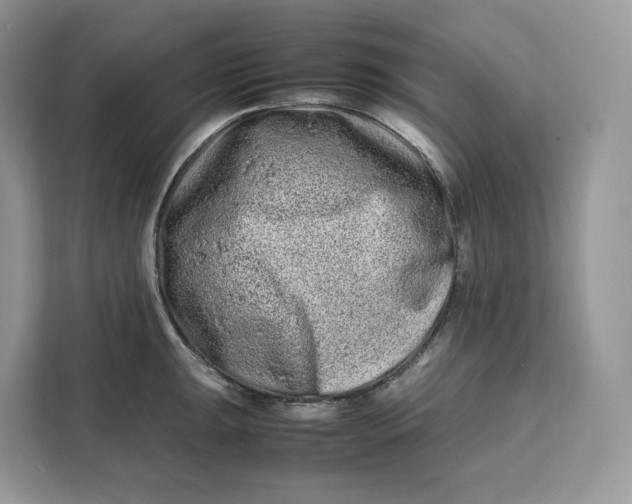 X0000112211047200908281456