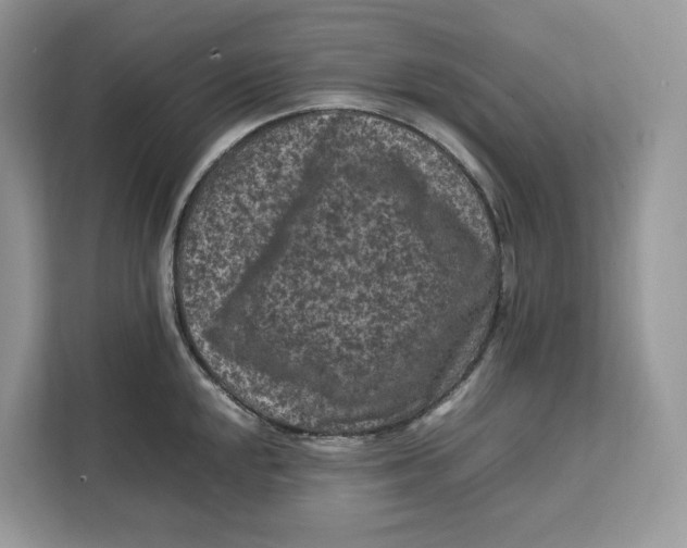 X0000112211048200908281456