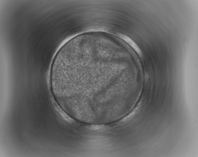 X0000112211052200908281456