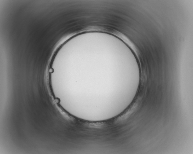 X0000112211053200908281456