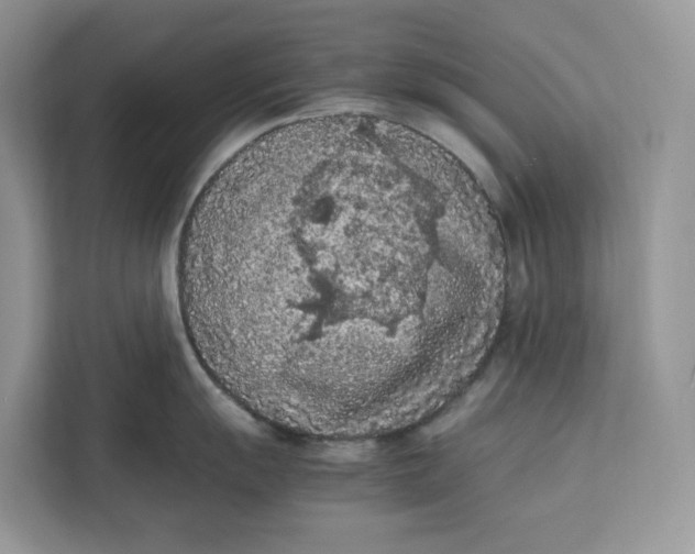 X0000112211055200908281456