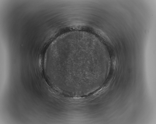 X0000112211060200908281455