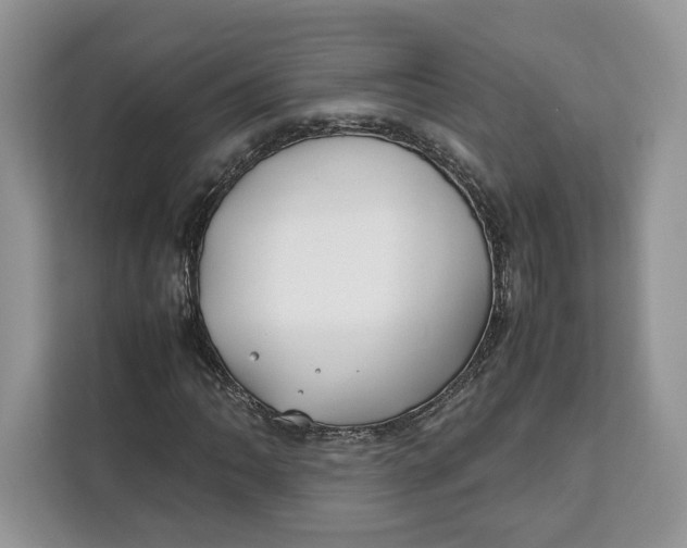 X0000112211062200908281455