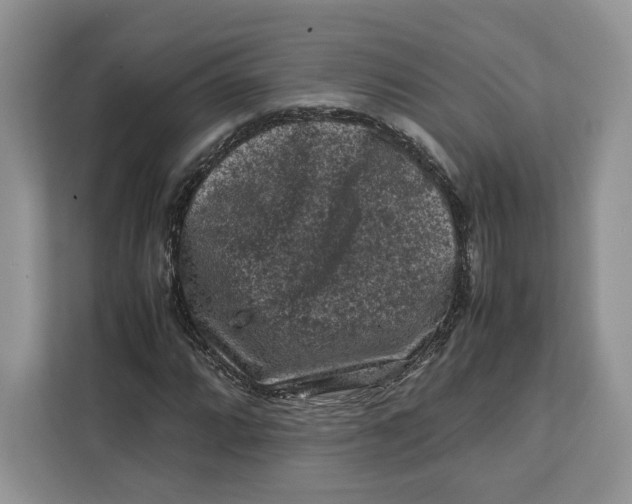 X0000112211064200908281455
