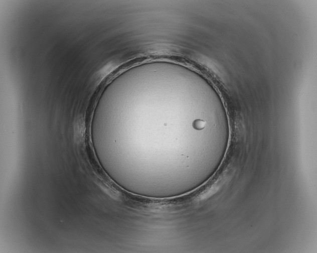 X0000112211065200908281455