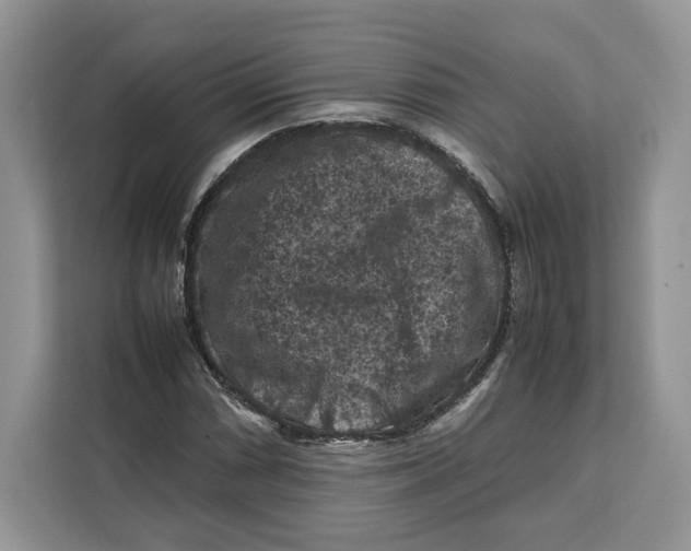 X0000112211066200908281455