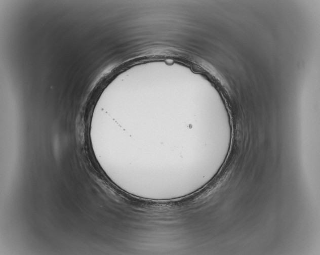 X0000112211067200908281455