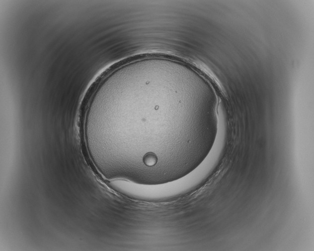 X0000112211068200908281455
