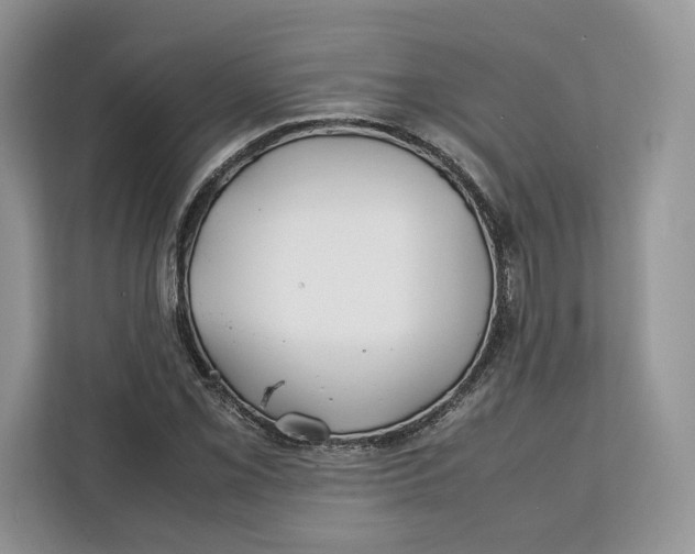 X0000112211069200908281455