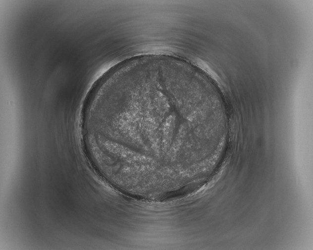 X0000112211071200908281455