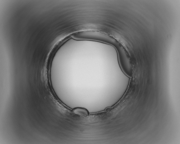 X0000112211072200908281455