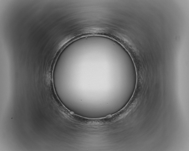 X0000112211073200908281455