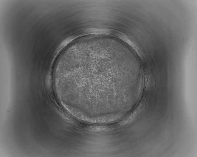 X0000112211074200908281455
