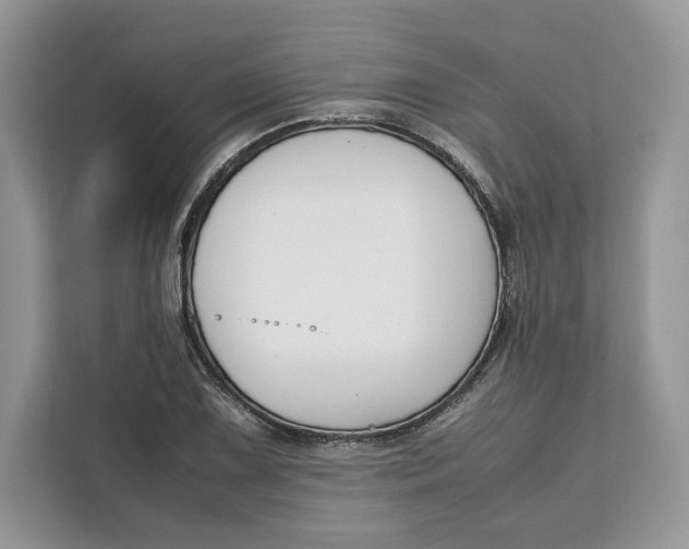 X0000112211075200908281455