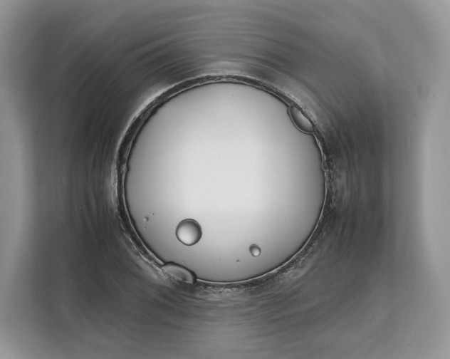 X0000112211076200908281455