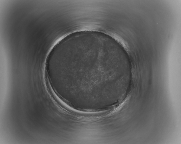X0000112211077200908281455