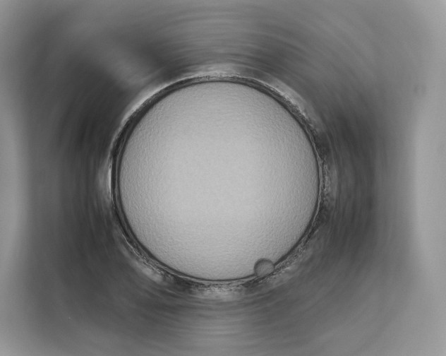 X0000112211078200908281455