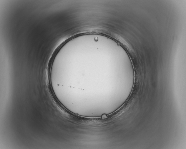 X0000112211079200908281455