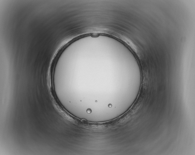 X0000112211080200908281455