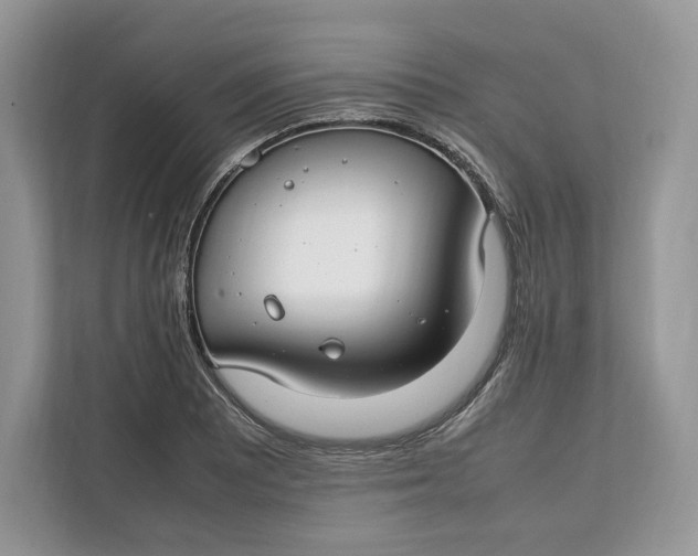 X0000112211081200908281455