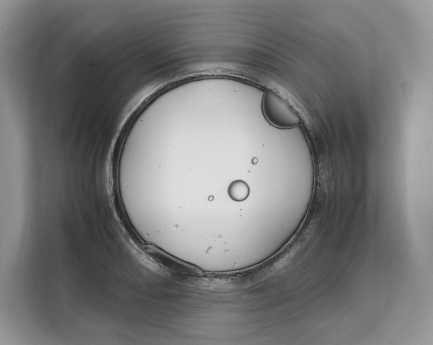 X0000112211082200908281455