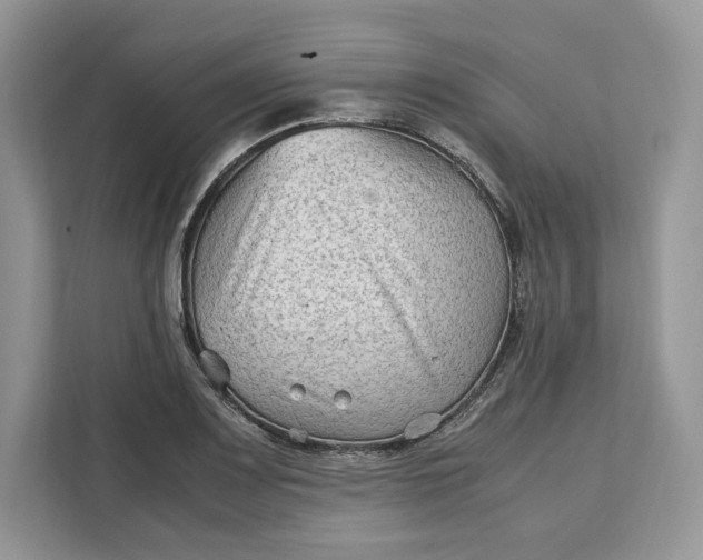 X0000112211083200908281455