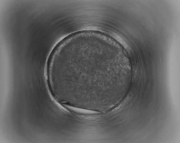 X0000112211084200908281455