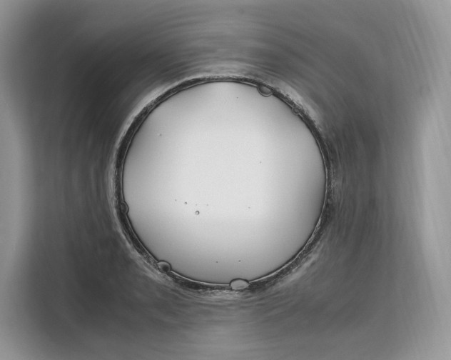 X0000112211085200908281455
