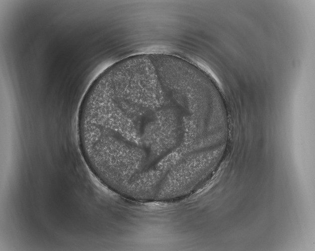 X0000112211087200908281455