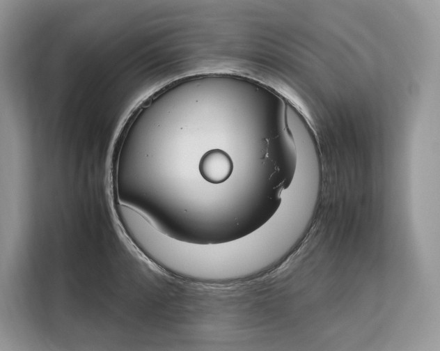 X0000112211088200908281455