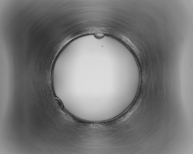 X0000112211089200908281455