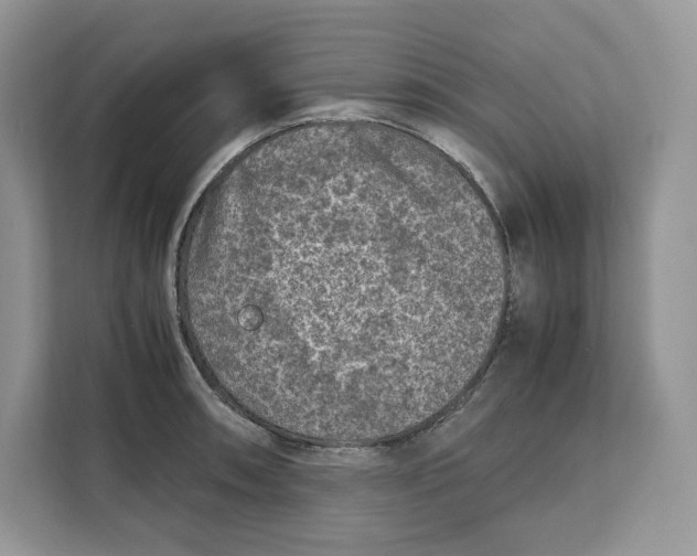 X0000112211090200908281455