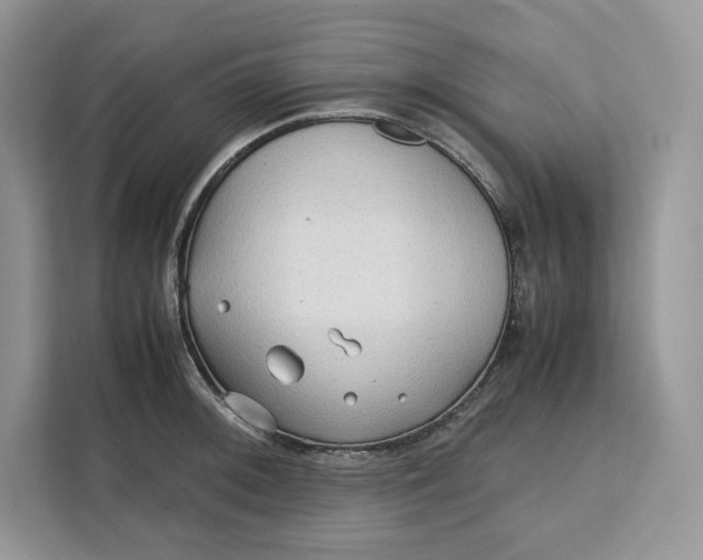 X0000112211092200908281455