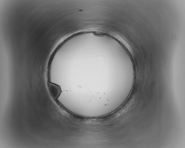 X0000112211093200908281455