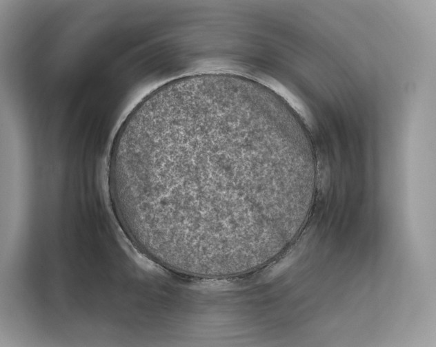 X0000112211094200908281455