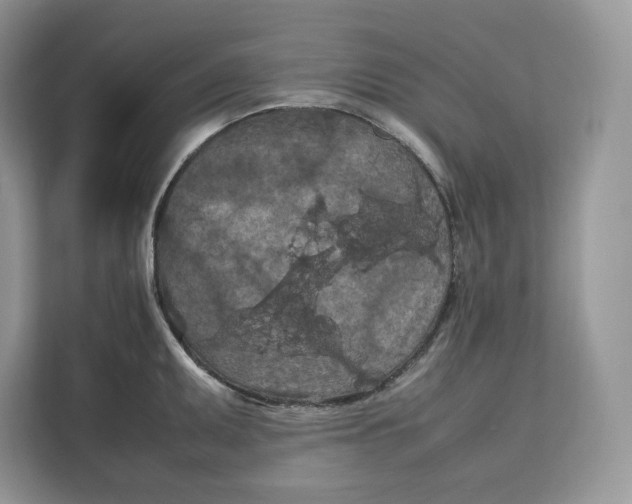 X0000112211095200908281455