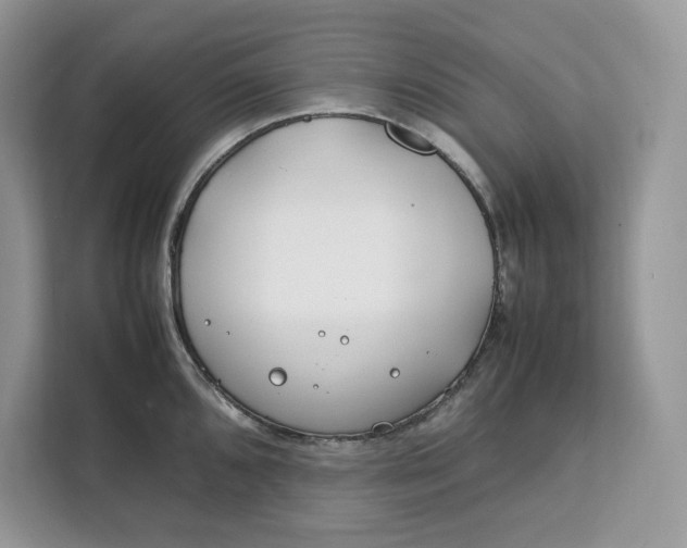 X0000112211096200908281455