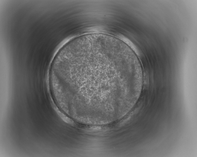 X0000112211098200908281454