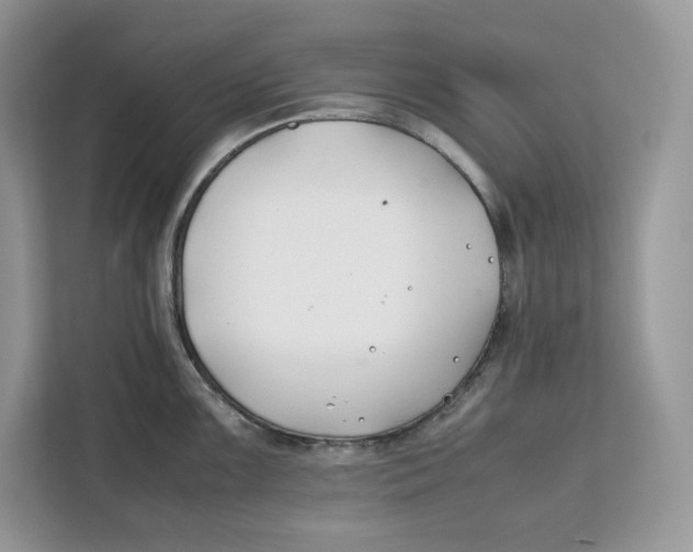 X0000112211099200908281454