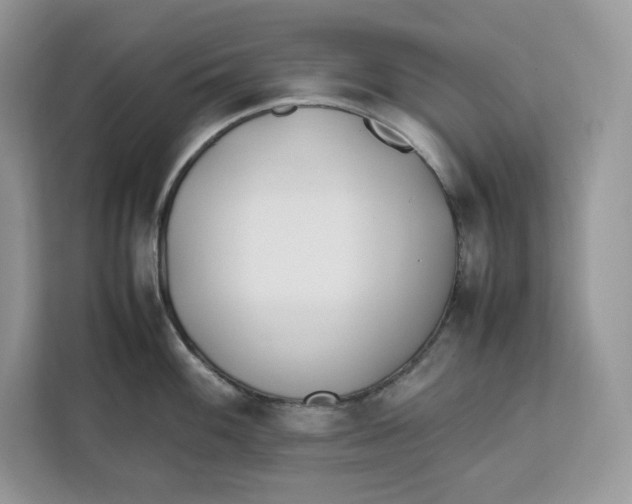 X0000112211100200908281454