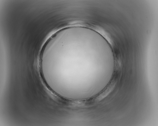 X0000112211101200908281454