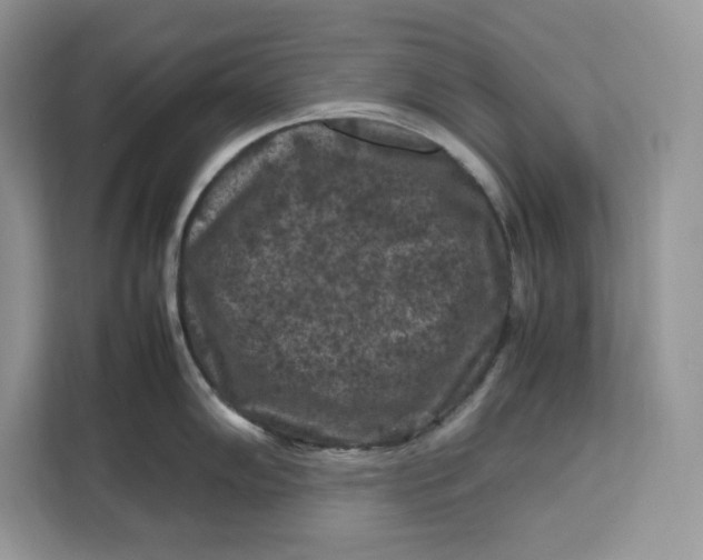 X0000112211102200908281454