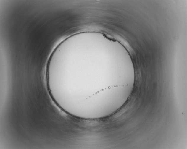 X0000112211103200908281454