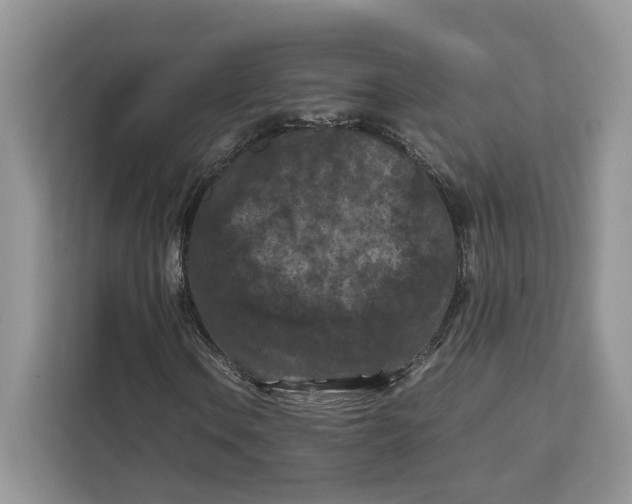 X0000112211106200908281454